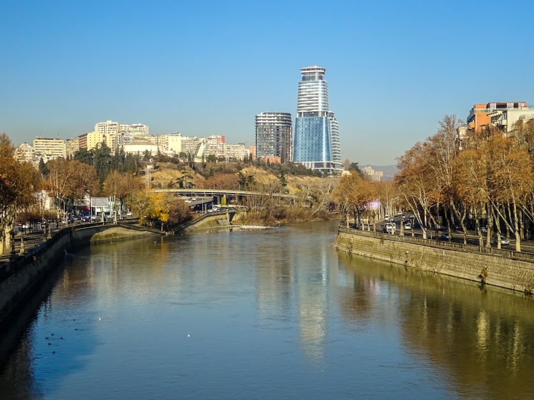 AI for Georgian Business: An Industry-by-Industry Guide