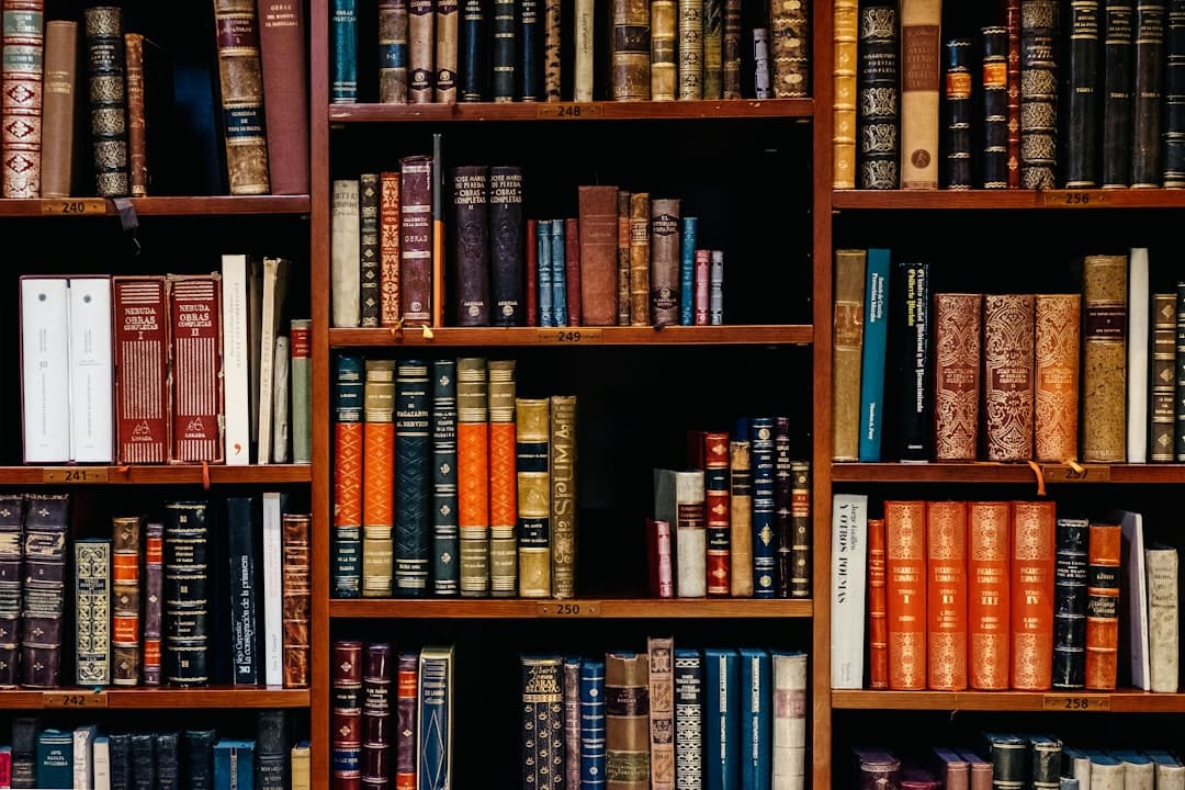 Building a Georgian-Language Knowledge Base for AI Support